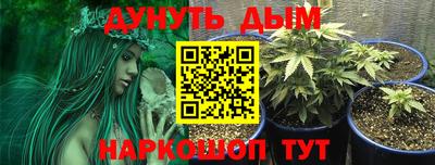 каннабис Дубна