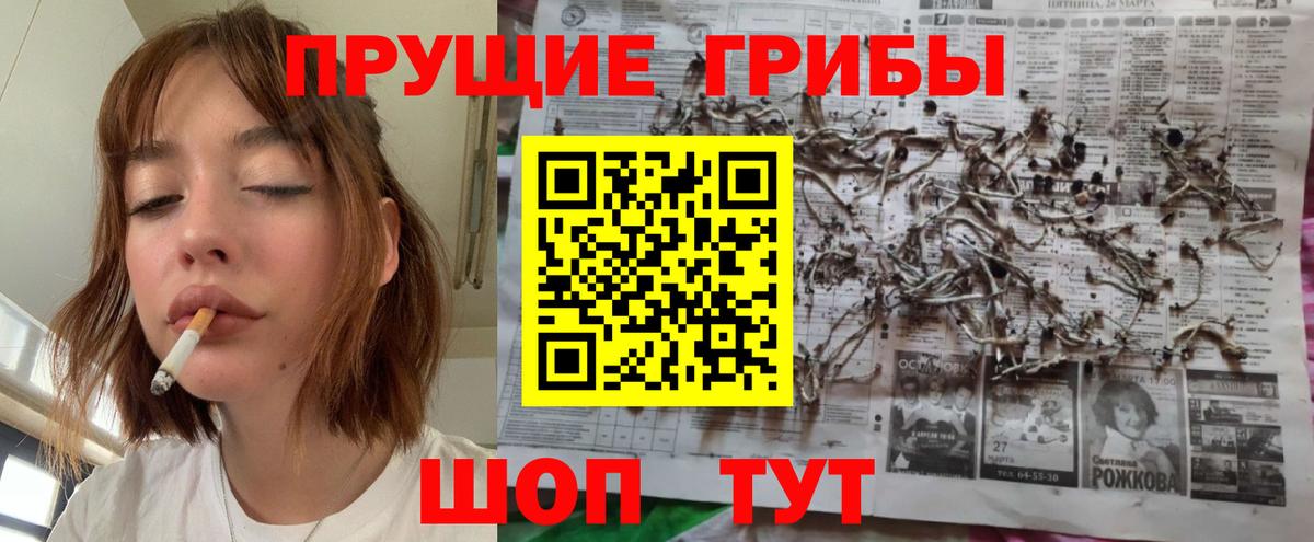 Псилоцибиновые грибы мухоморы Печора